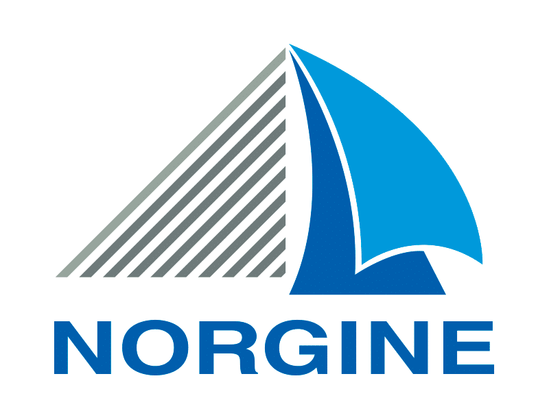 logo Norgine